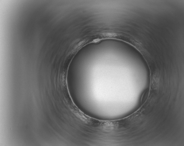 X0000080130330200612221904