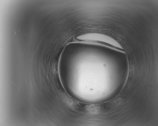 X0000080130331200612221904