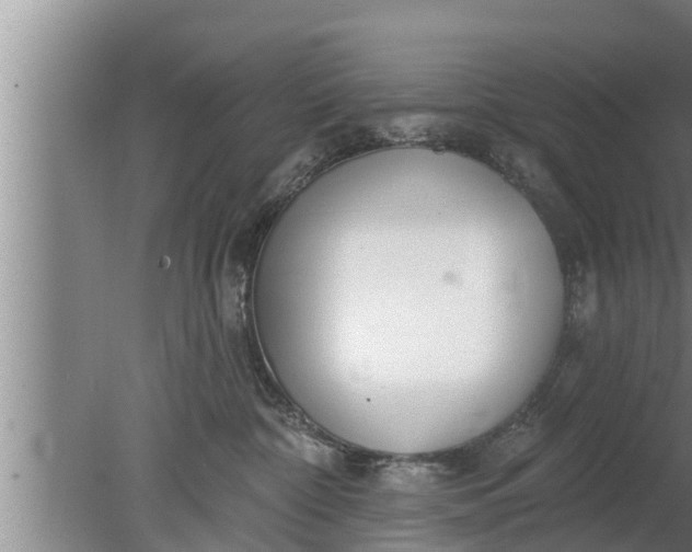 X0000080130332200612221904