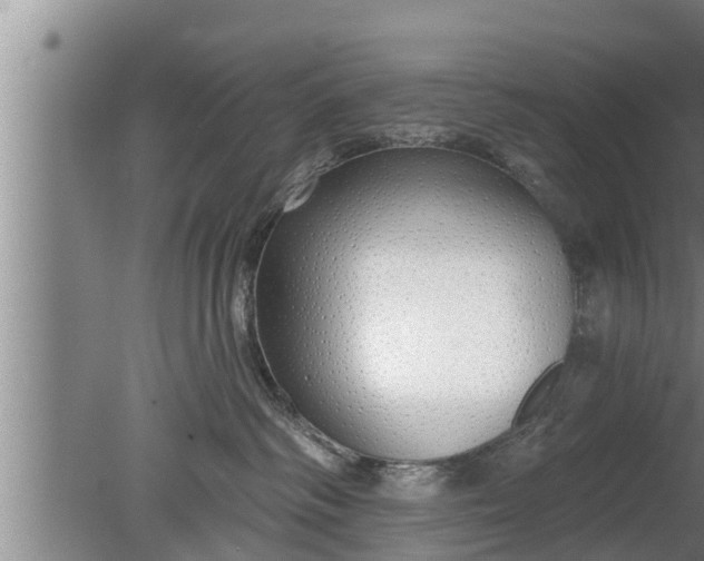 X0000080130334200612221903