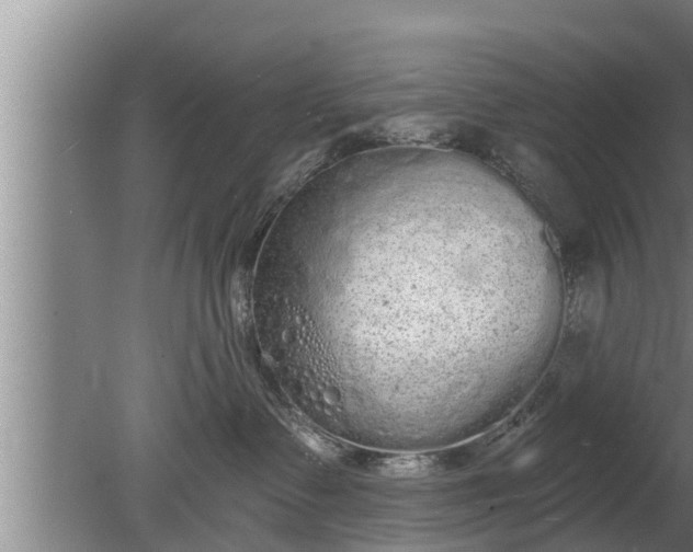 X0000080130335200612221903