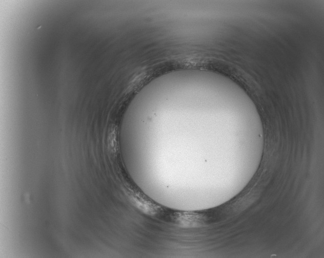 X0000080130336200612221903