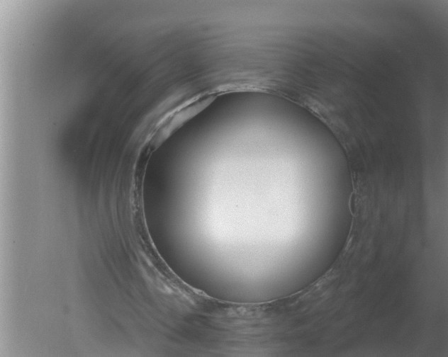 X0000080130338200612221903