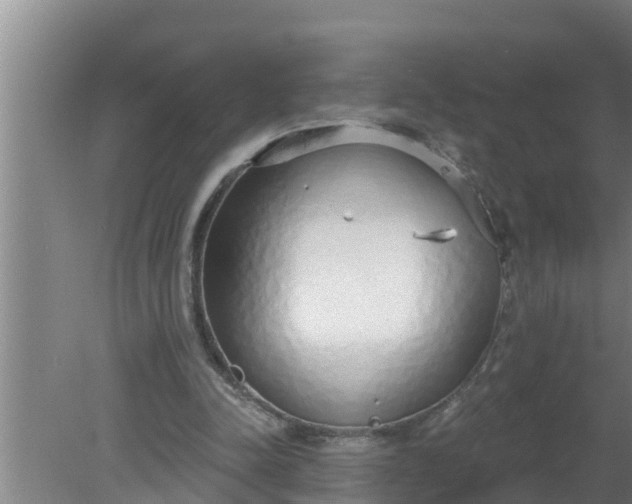 X0000080130342200612221903