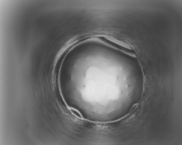 X0000080130343200612221903