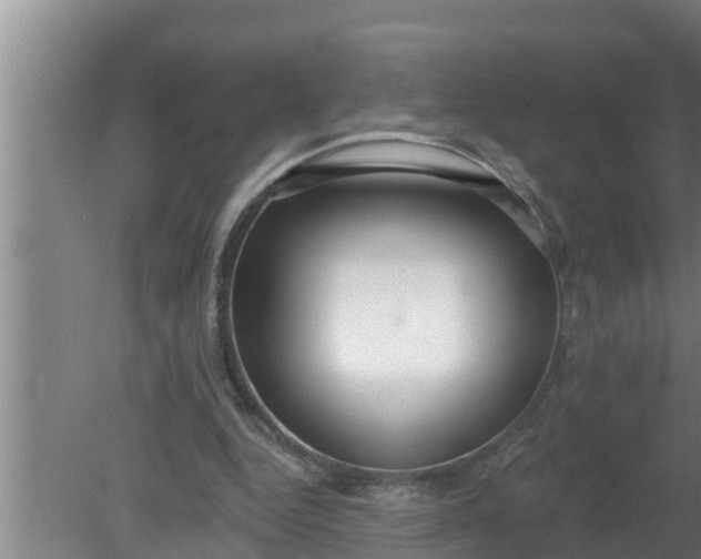 X0000080130344200612221903