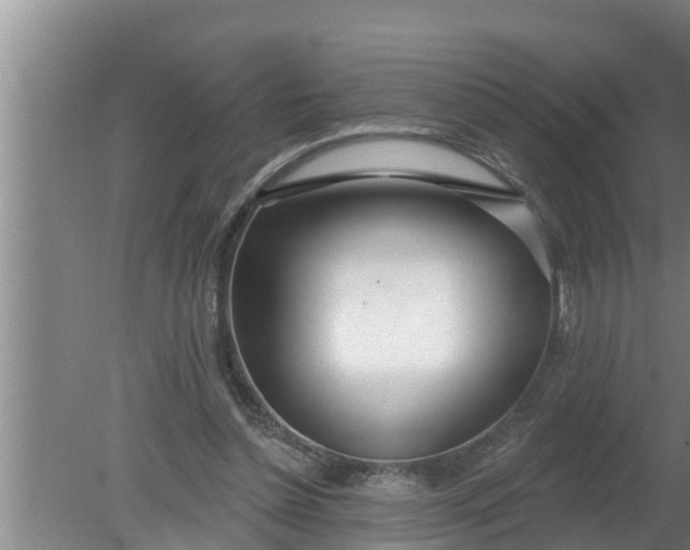 X0000080130348200612221903