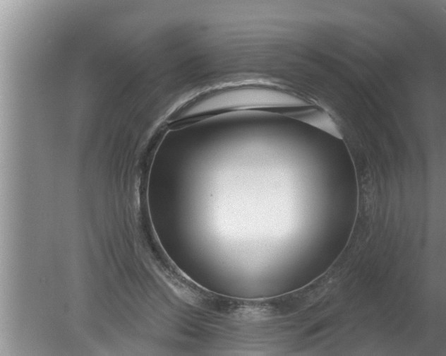 X0000080130350200612221903