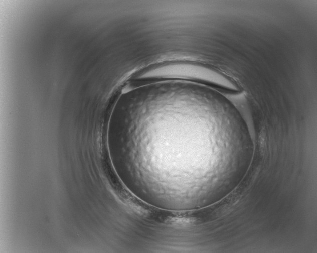 X0000080130352200612221903