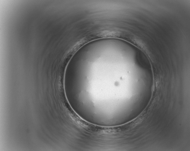 X0000080130353200612221903