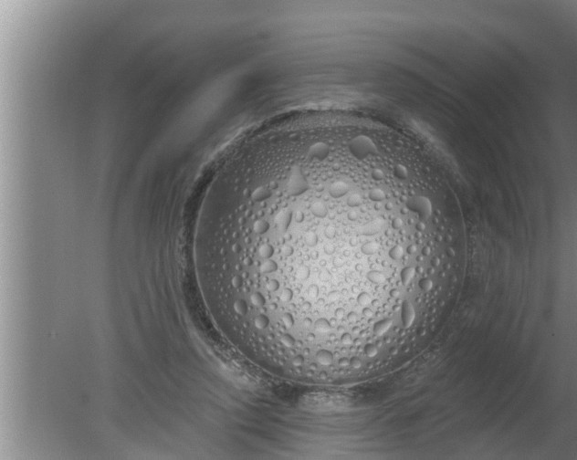 X0000080130354200612221903