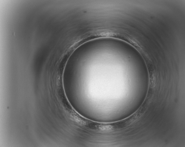 X0000080130355200612221903