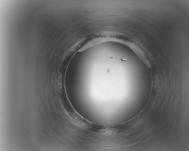 X0000080130356200612221903