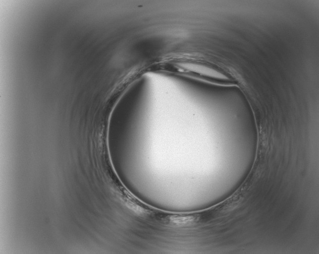 X0000080130357200612221903