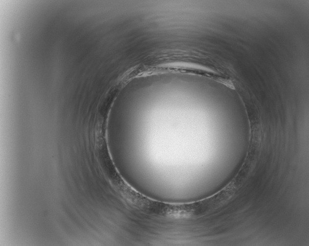 X0000080130360200612221903