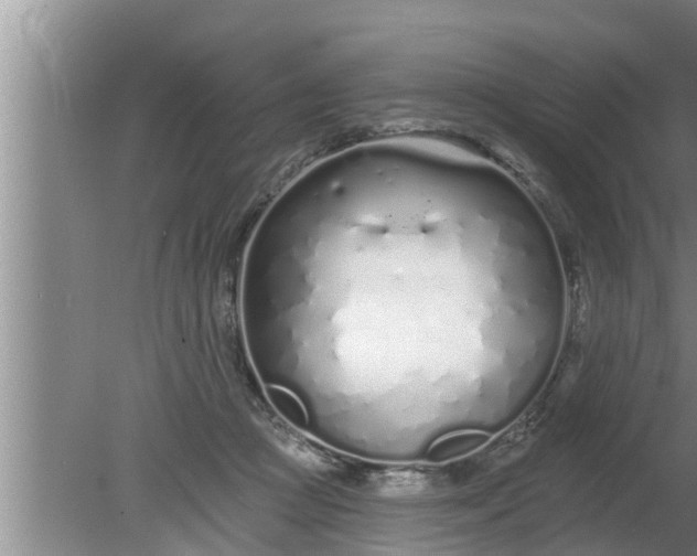 X0000080130361200612221903