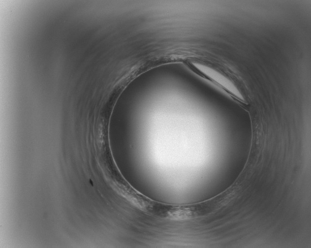 X0000080130362200612221903