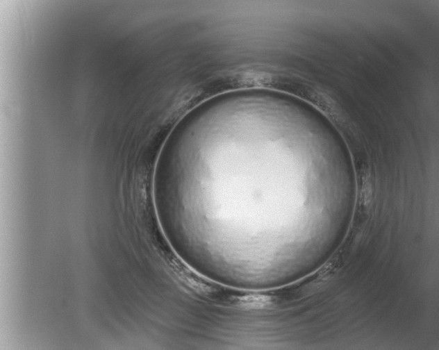 X0000080130363200612221903