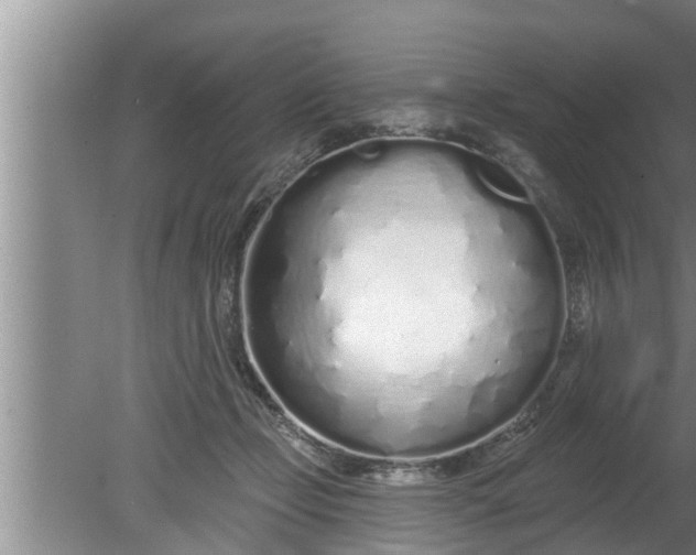 X0000080130365200612221903