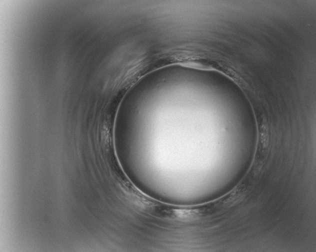 X0000080130371200612221903