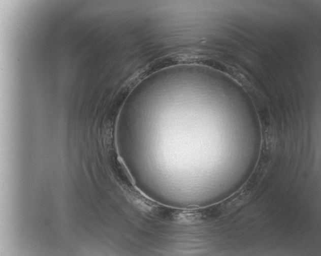 X0000080130372200612221903