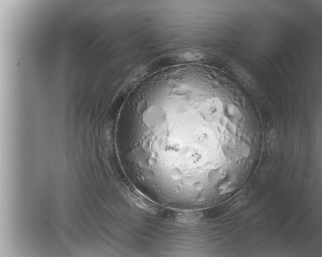 X0000080130373200612221903