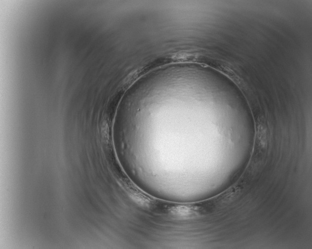 X0000080130375200612221903