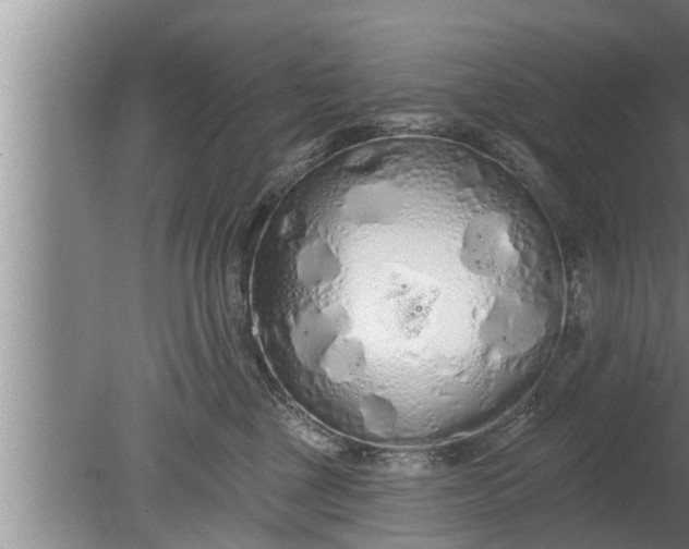 X0000080130377200612221903