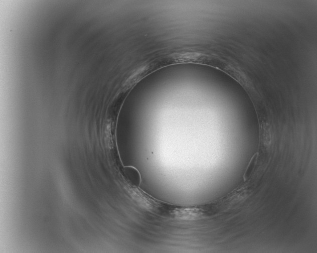 X0000080130378200612221903