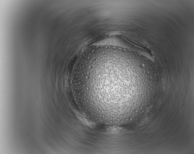 X0000080130379200612221903