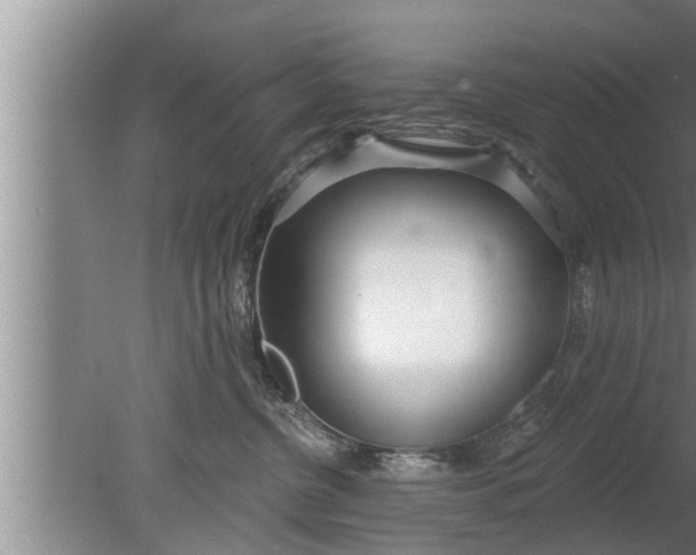 X0000080130380200612221903