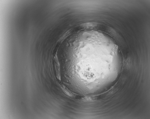 X0000080130381200612221903