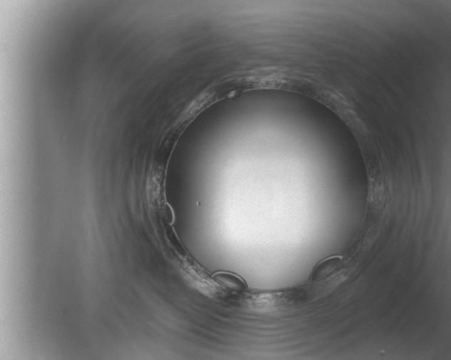 X0000080130382200612221903