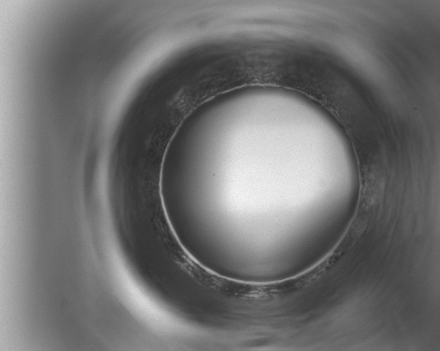 X0000080130383200612221903