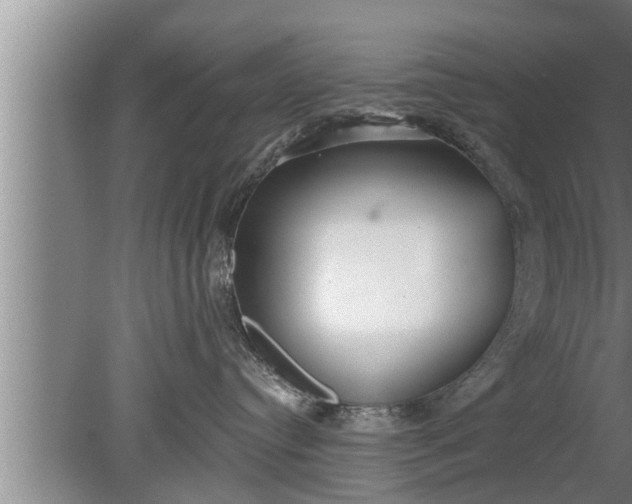 X0000080130384200612221903