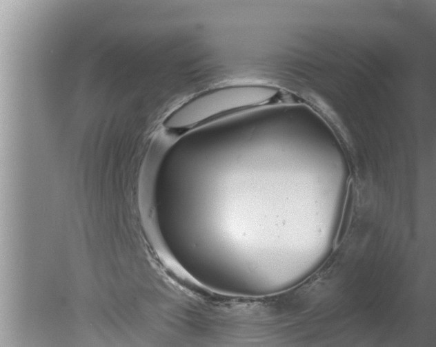 X0000080130385200612221903