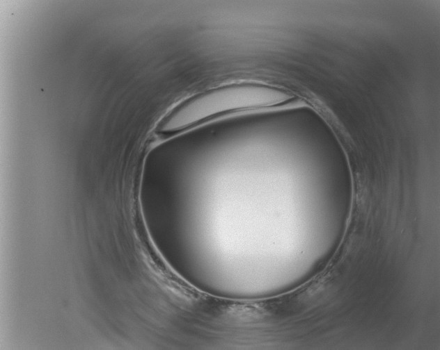 X0000080130386200612221903