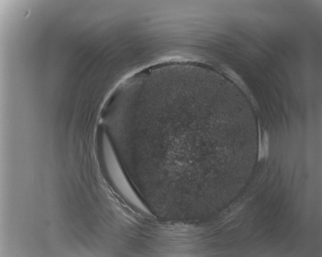 X0000080130387200612221903