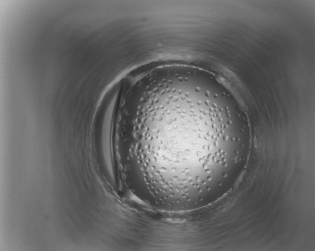 X0000080130388200612221903