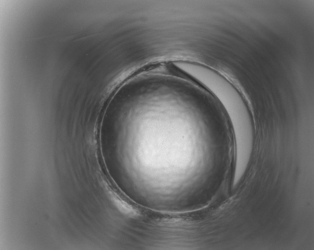 X0000080130389200612221903