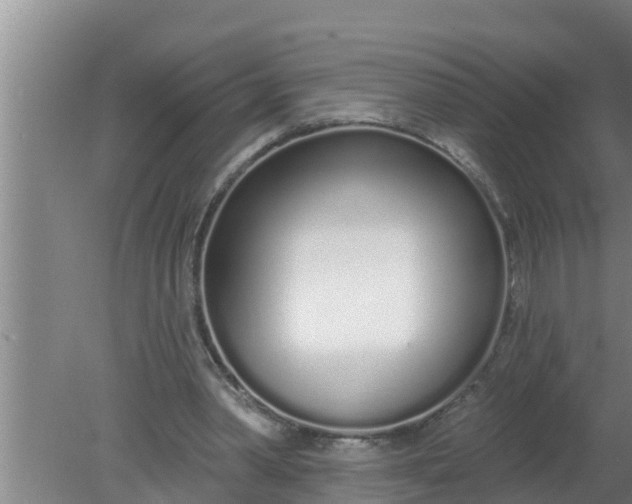 X0000080130390200612221903