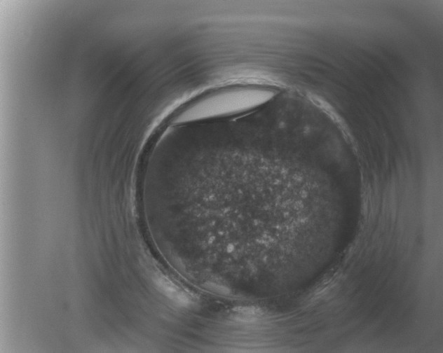 X0000080130391200612221903