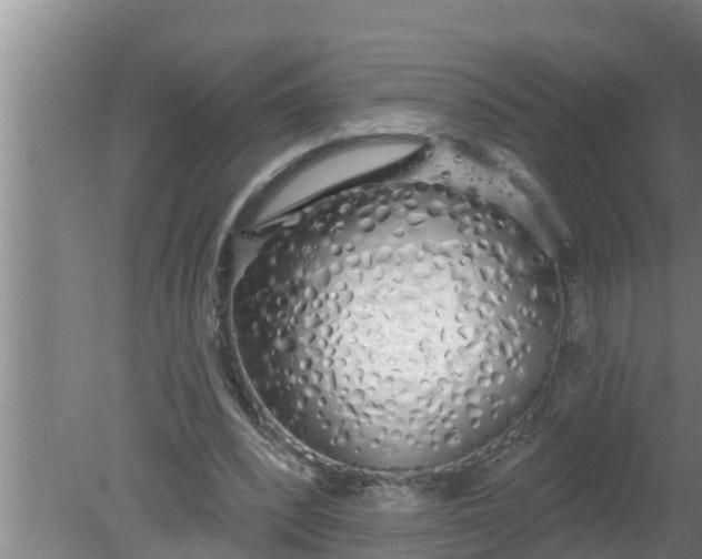 X0000080130392200612221902