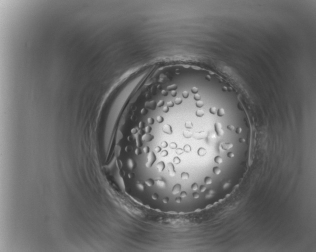 X0000080130395200612221902