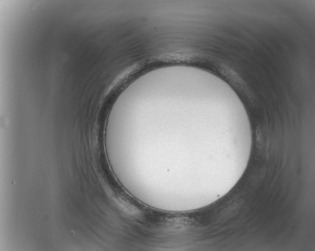 X0000080130396200612221902