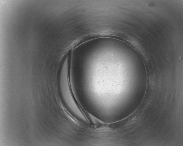 X0000080130397200612221902