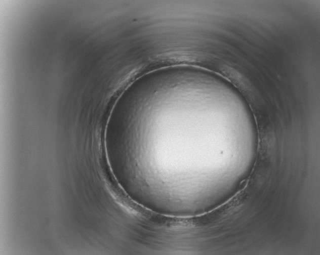 X0000080130398200612221902