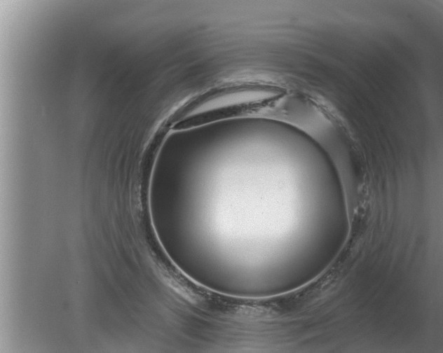 X0000080130399200612221902