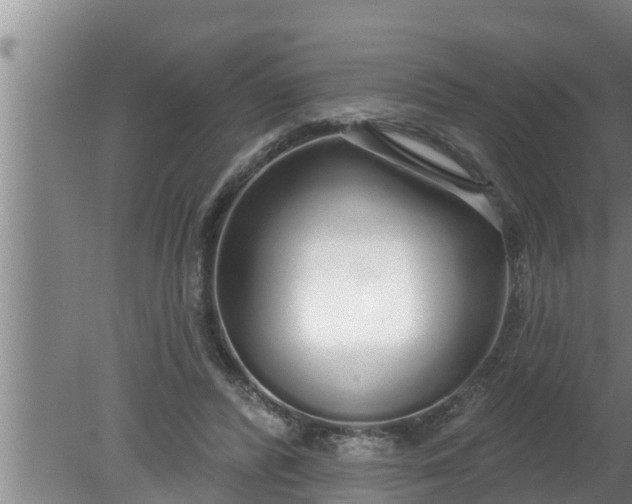 X0000080130400200612221902