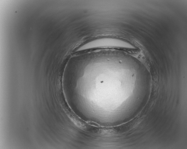 X0000080130401200612221902